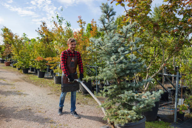 Best Lawn Grading and Leveling  in Litchfield, MI